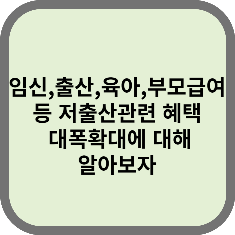 임신&#44;출산&#44;양육&#44;확대혜택