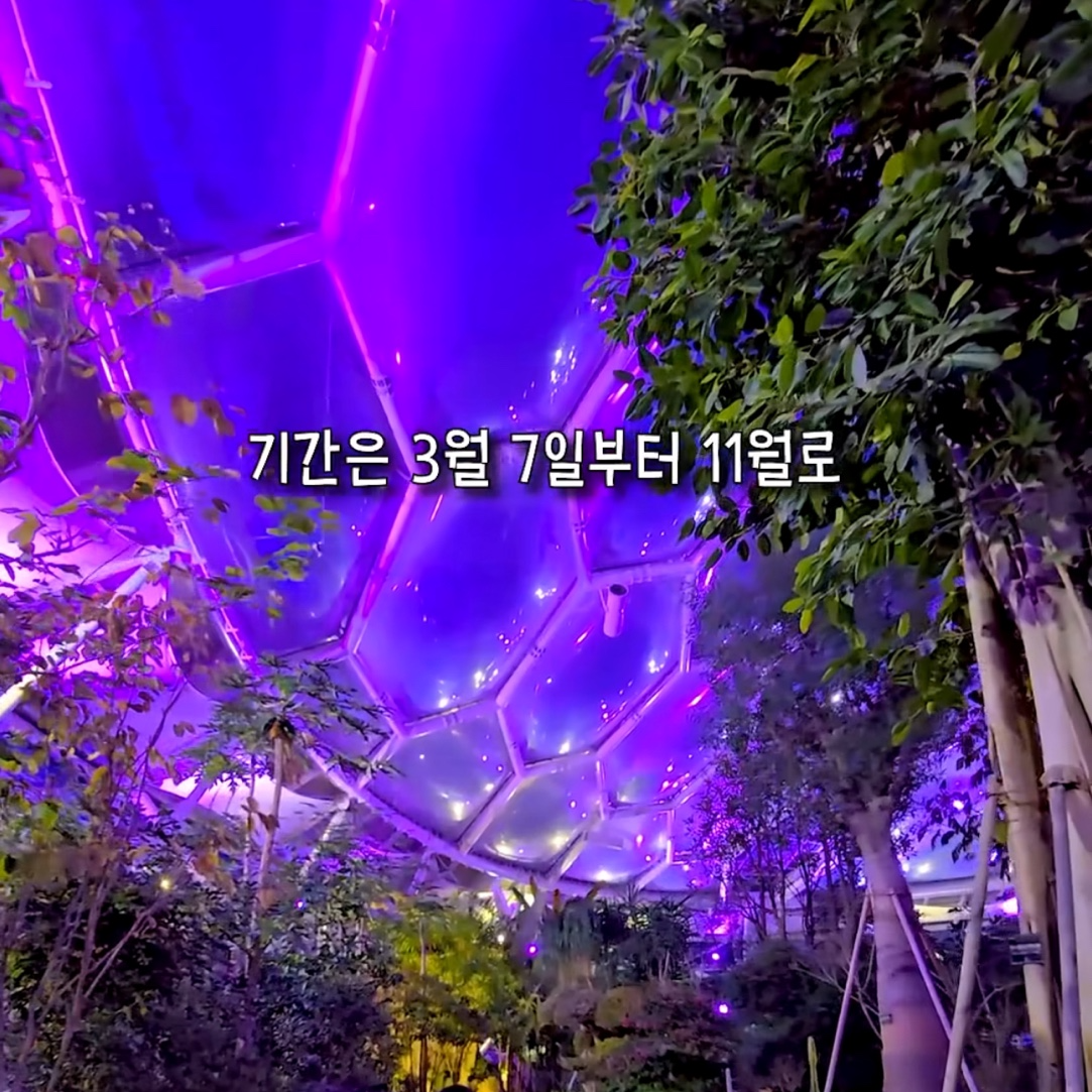 수피아