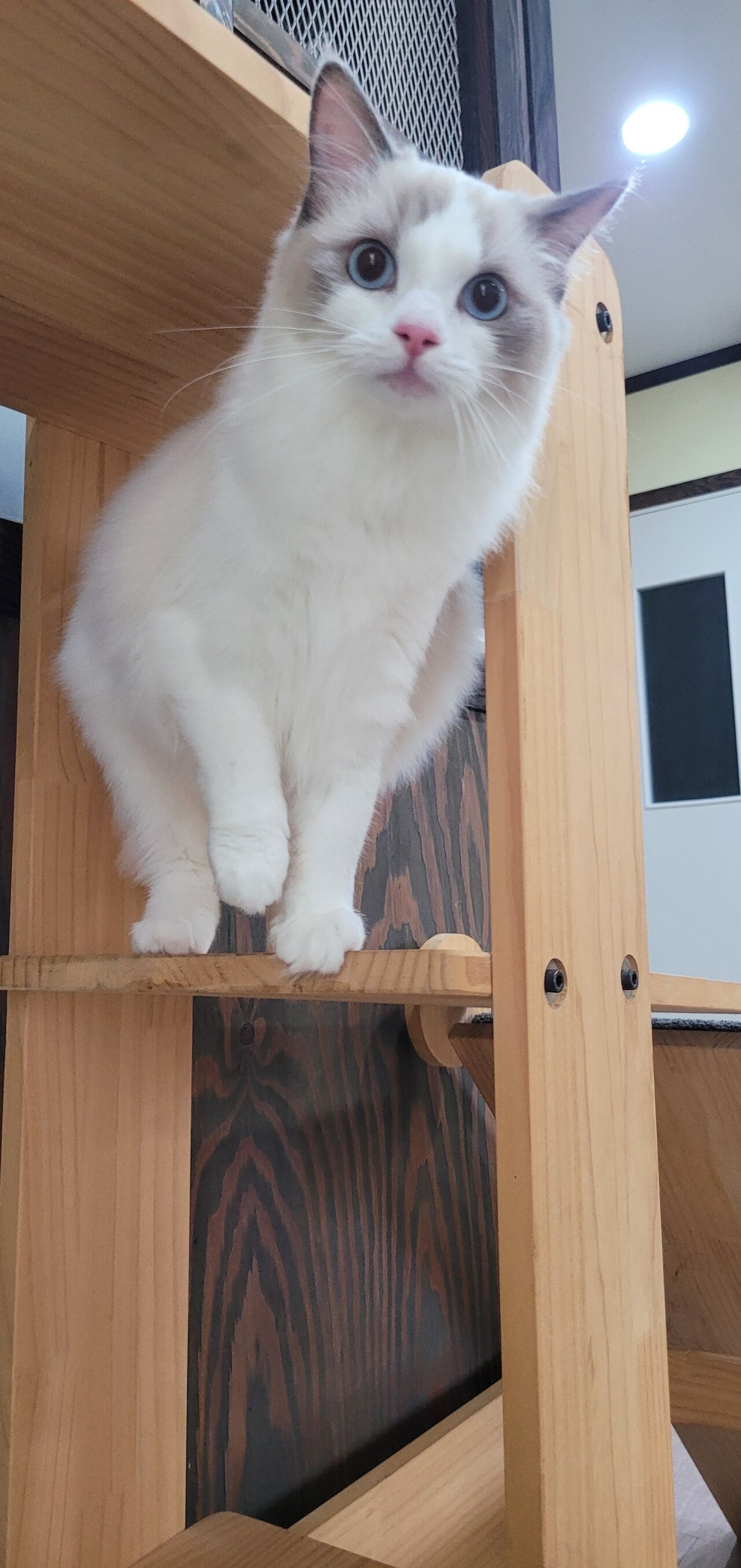 호텔메이 이미지
