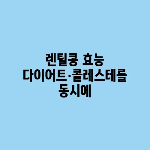 렌틸콩 효능 다이어트·콜레스테롤 동시에