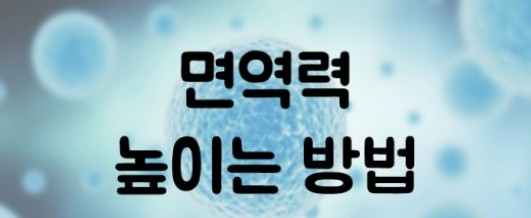 면역력 높이는 방법