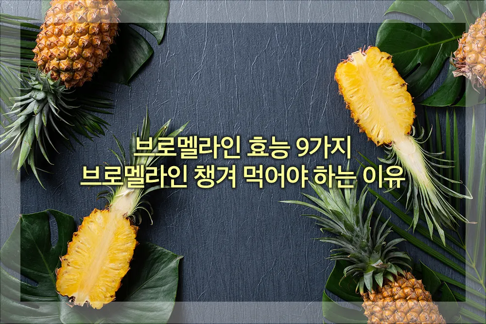 브로멜라인 효능 9가지