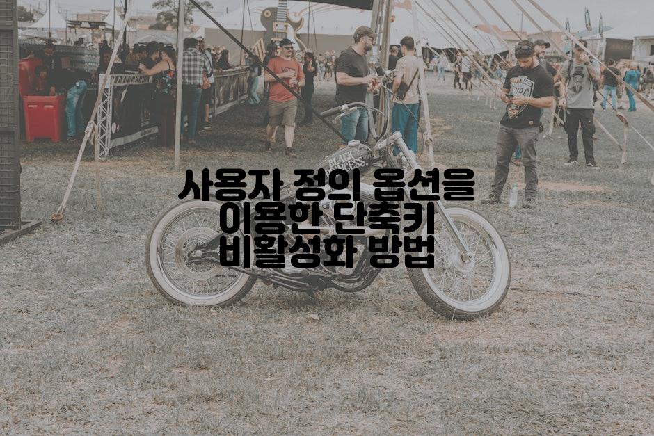 사용자 정의 옵션을 이용한 단축키 비활성화 방법