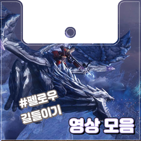  [이카루스] 펠로우 영상 모음
