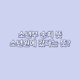 소년부 송치 뜻