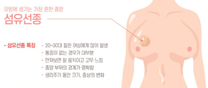 맘모톰 수술 비용 실비 맘모톰 후기(유방 섬유선종)