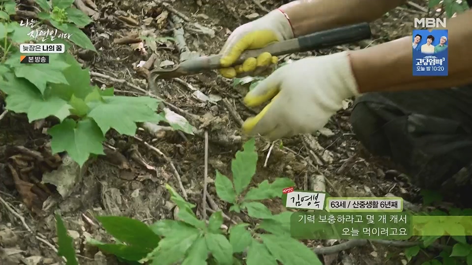 나는 자연인이다.E561.230705p.H264-F1RST.mp4_20230706_213042.212.jpg