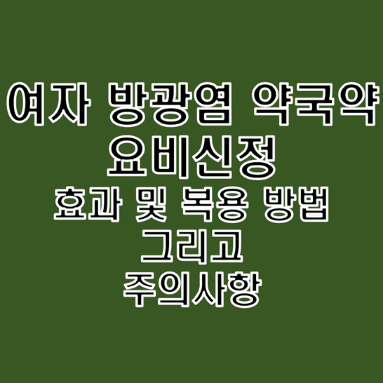  여자 방광염 약국약 요비신정 효과 및 복용법 그리고 주의사항
