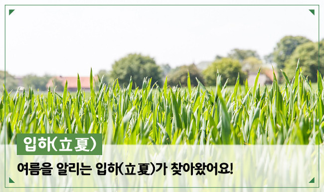 입하