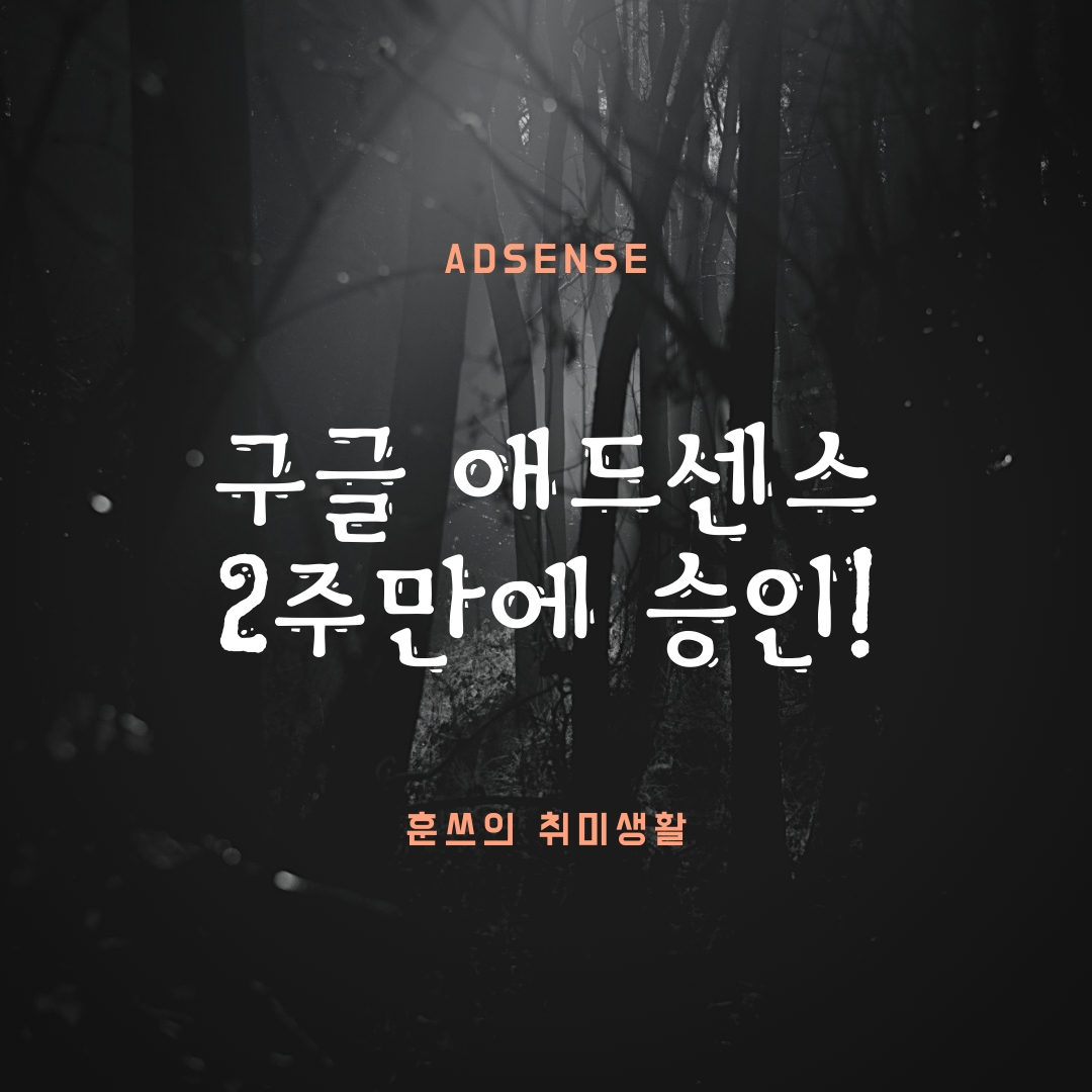  애드센스 첫 승인 - 나도 이제 광고비 받는다~!