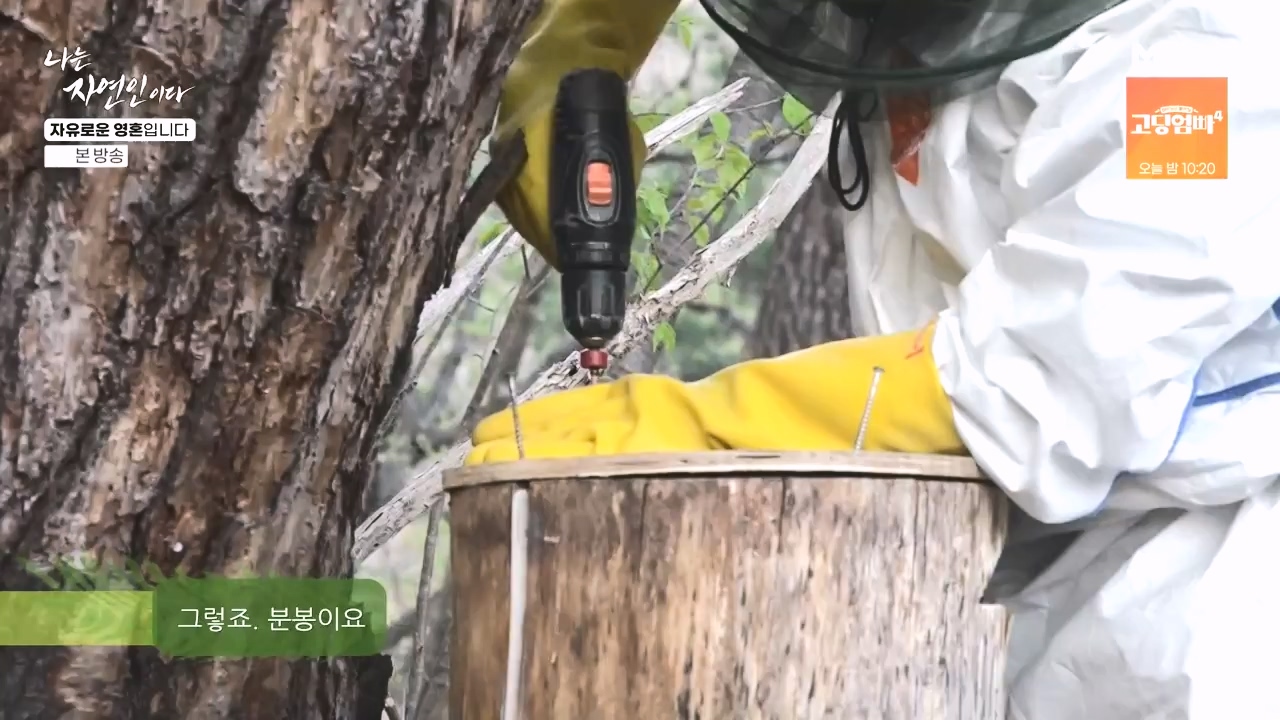 나는 자연인이다.E604.240509p-NEXT.mp4_20240509_195716.911.jpg