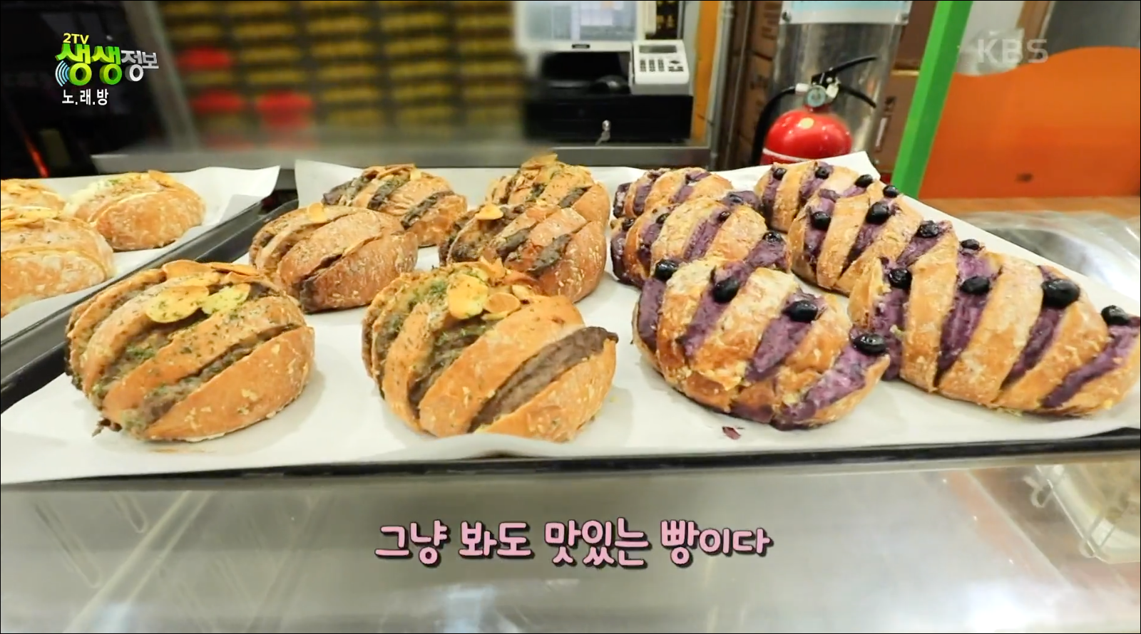  [TV속맛집] 충북 단양 흙마늘 크림치즈 마늘빵 맛집 단빵제빵소 #단양 마늘빵집 #단양 단빵제빵소 #2TV 생생정보 - 1226회 방영