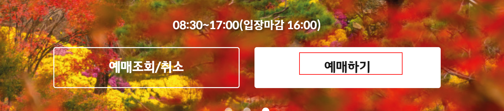 화담숲 홈페이지 예약 버튼 모습
