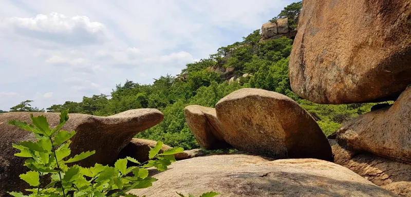 금산 천태산