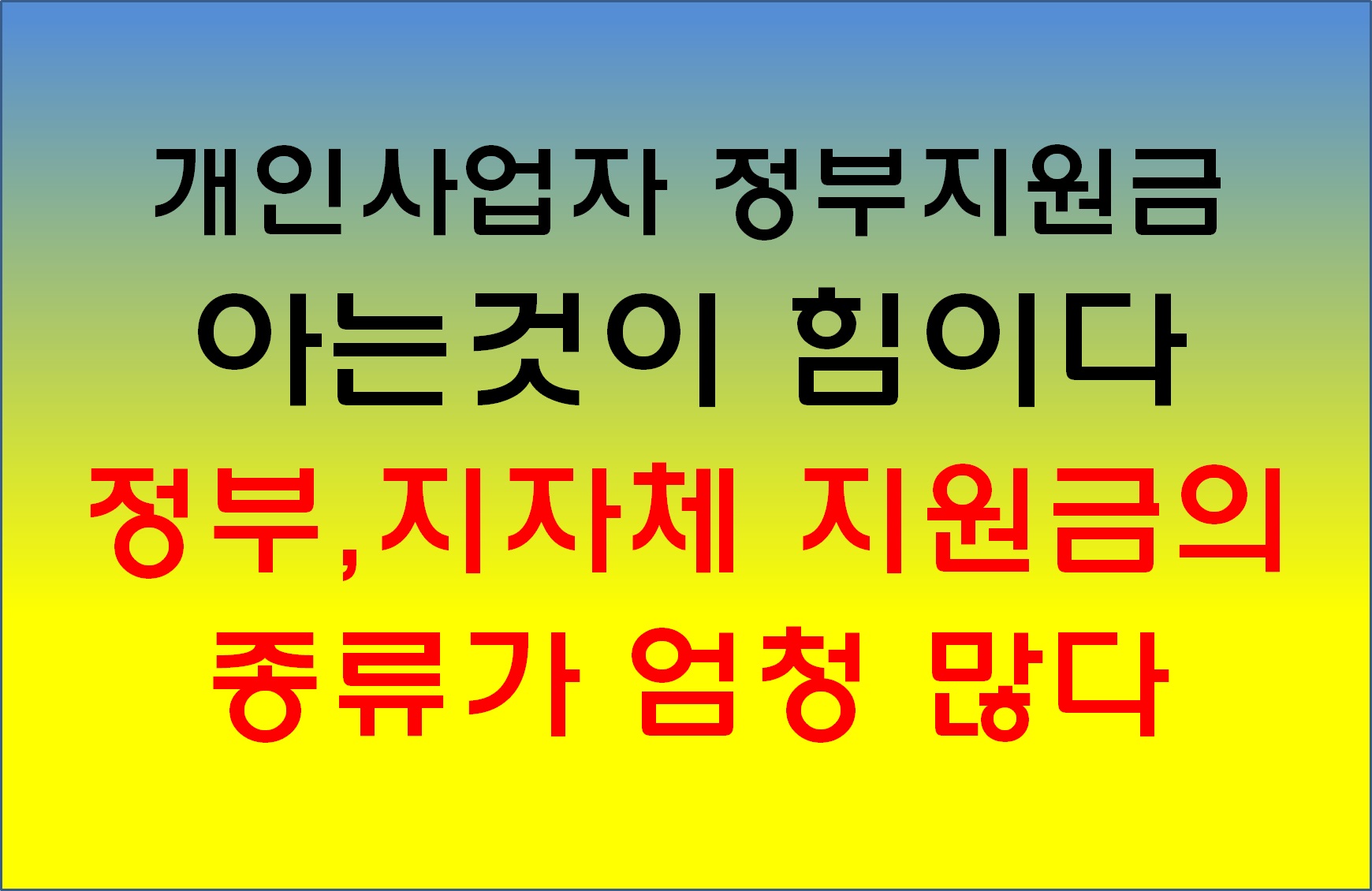 개인사업자 정부지원