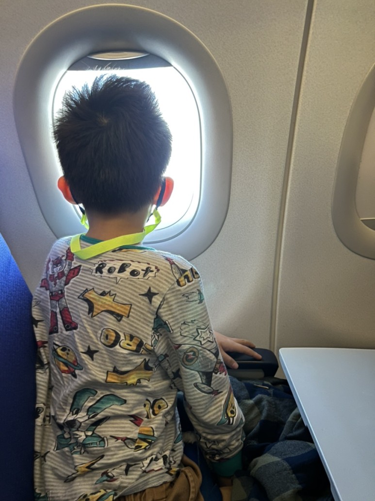혈액검사 핵산검사와 항체검사() 지정병원, 공항 22