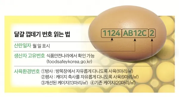 계란에 적힌 번호가 정확히 뭘까 계란 난각번호 4번 제대로 알고 먹고 있나요_2