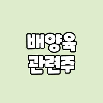 배양육 대장주 관련주 TOP5 총정리_10