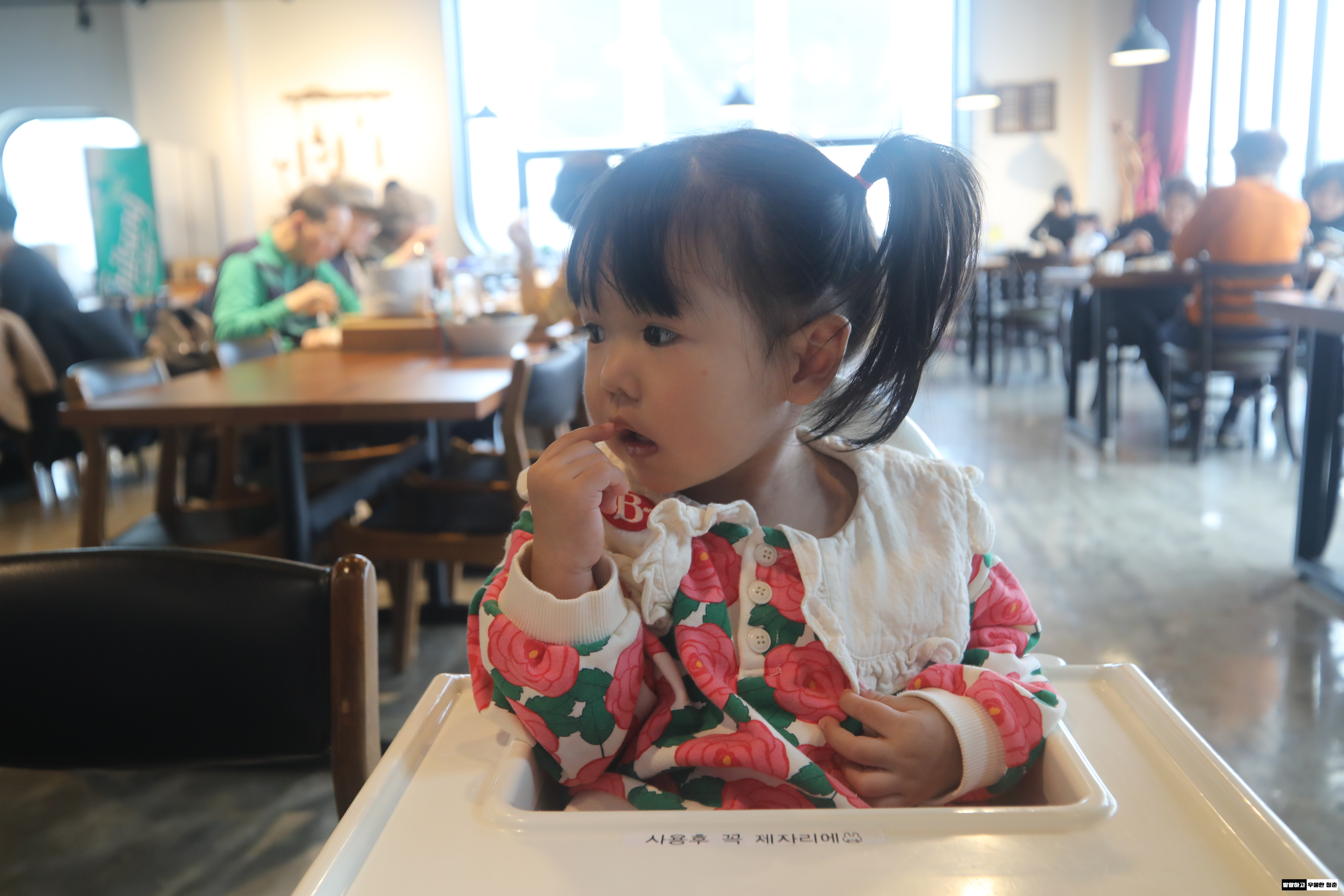 서울식물원 다이닝 아기랑 서울식물원 4층 레스토랑 경복궁 사장님 간장오리훈제잔치 디너 9