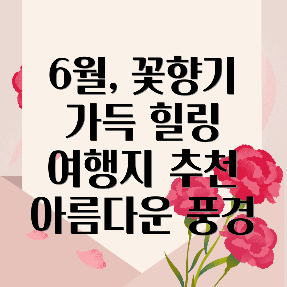 6월 국내여행