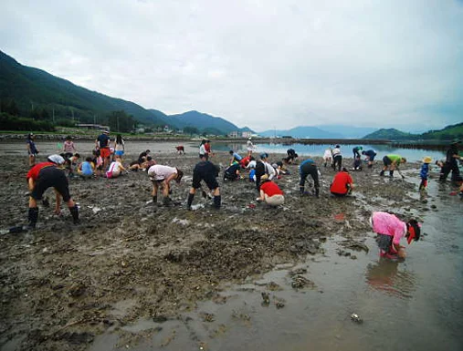 동대만갯벌체험장