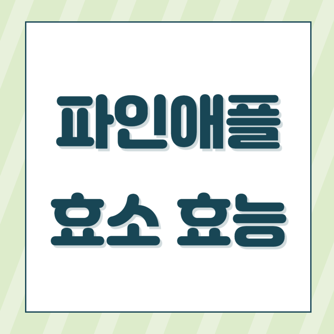 파인애플 효소 식초 효능