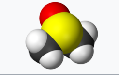 디메틸 설폭사이드 분자모형