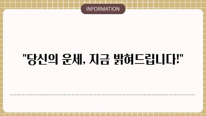 개인의 운세 분석