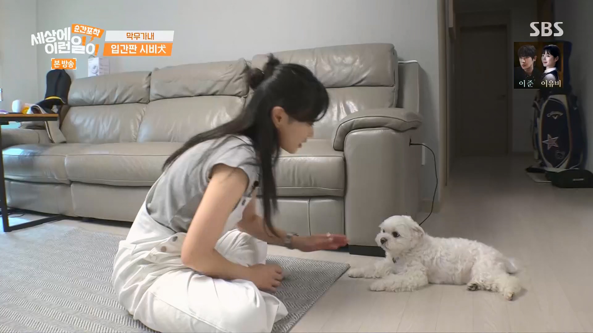 순간포착 세상에 이런일이.E1245.230909p.H264-F1RST.mp4_20230910_171511.464.jpg