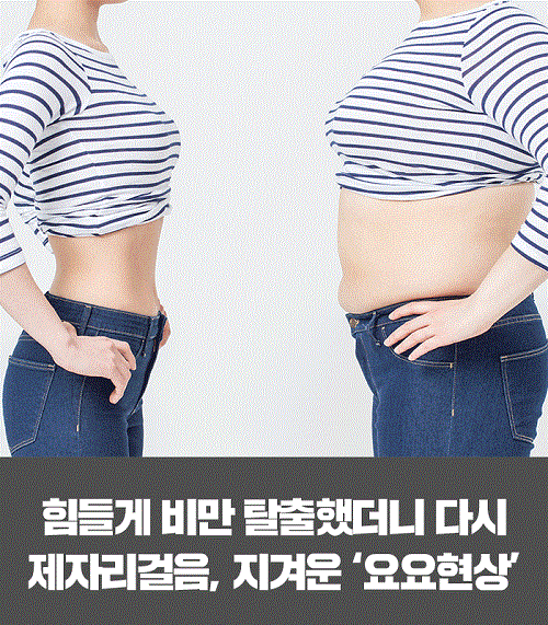  현실적인 다이어트 계획짜기