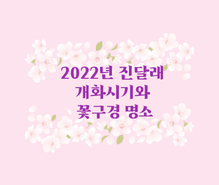 2022년 진달래 개화시기와 꽃구경 명소