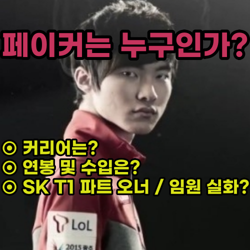  페이커 연봉