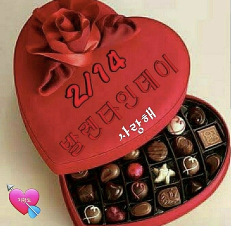 발렌타인데이 초콜릿(2/14) 255