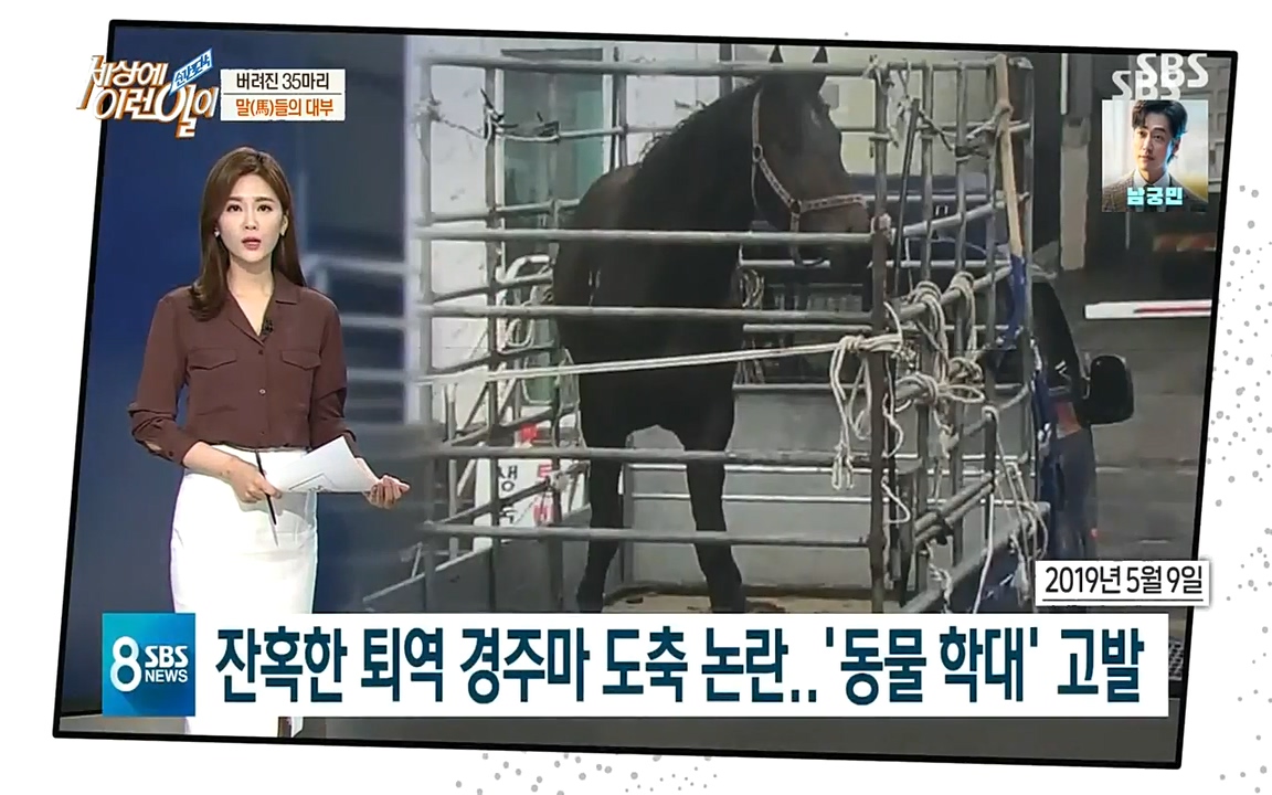 순간포착 세상에 이런일이.E1198.220920.H265p-BULDU.mp4_20220921_200757.510.jpg