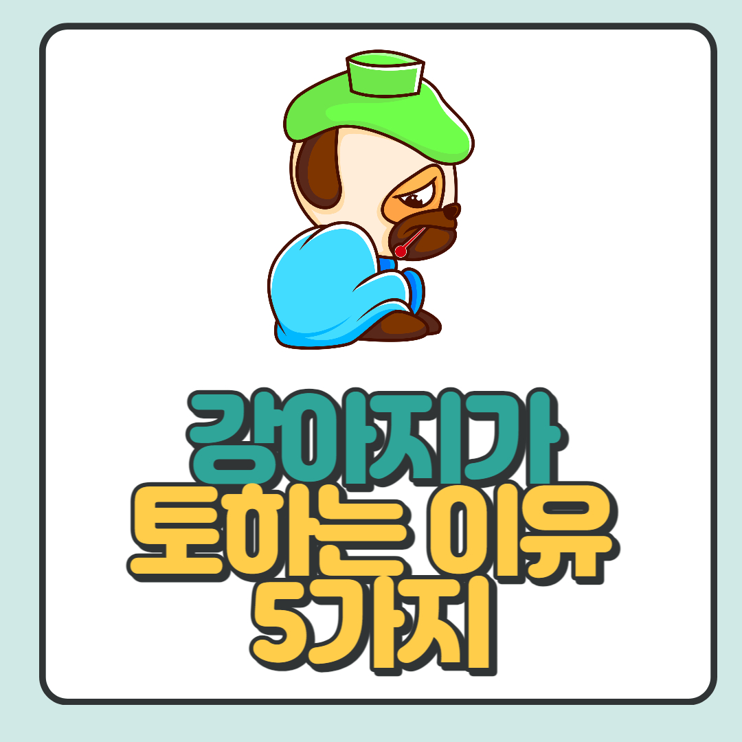  강아지가 토하는 이유 5가지 총 정리(예방법 포함)