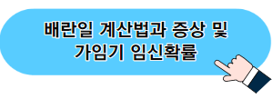 배란일 계산법과 증상 및 가임기 임신확률 포스팅 이미지 04