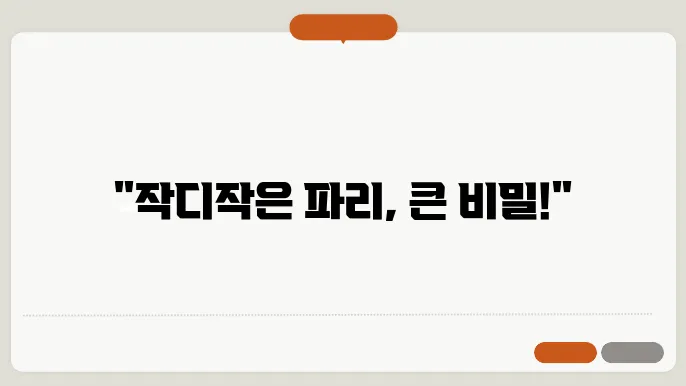 파리자리 작은 곤충의 비밀