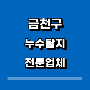 서울 금천구 누수탐지