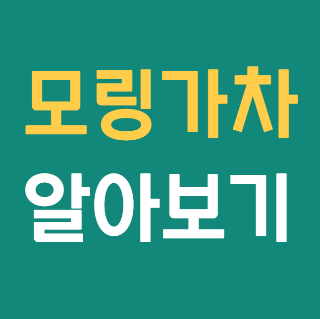  당뇨에 좋은 모링가차 효능