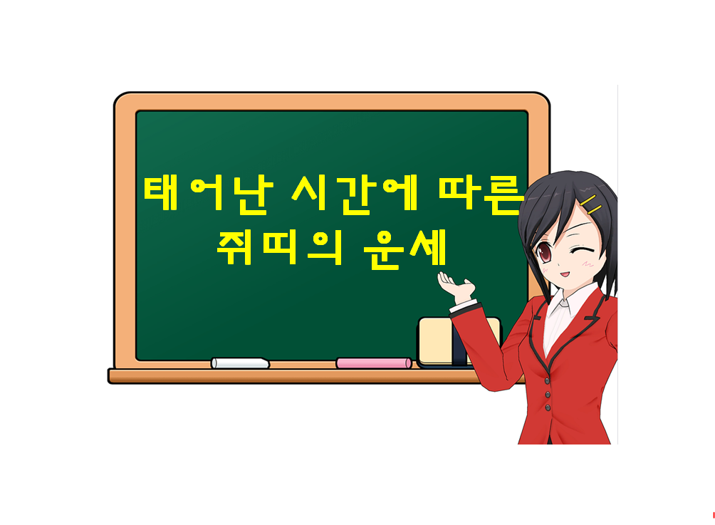  쥐띠, 태어난 시간에 따른 운세가 궁금하다면?