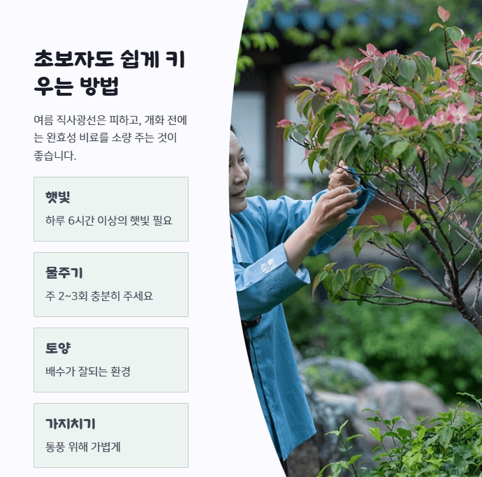 산딸나무 키우기
