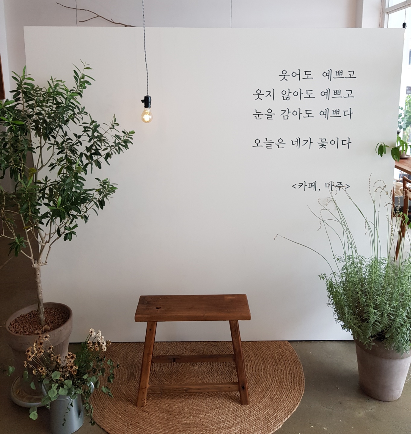 [화성시/반송동 카페] 동탄 카페! 카페 마주 방문 후기
