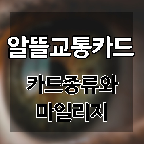알뜰교통카드 카드종류와 마일리지