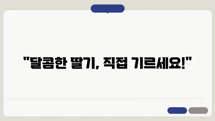 딸기 재배 팁 알아보기