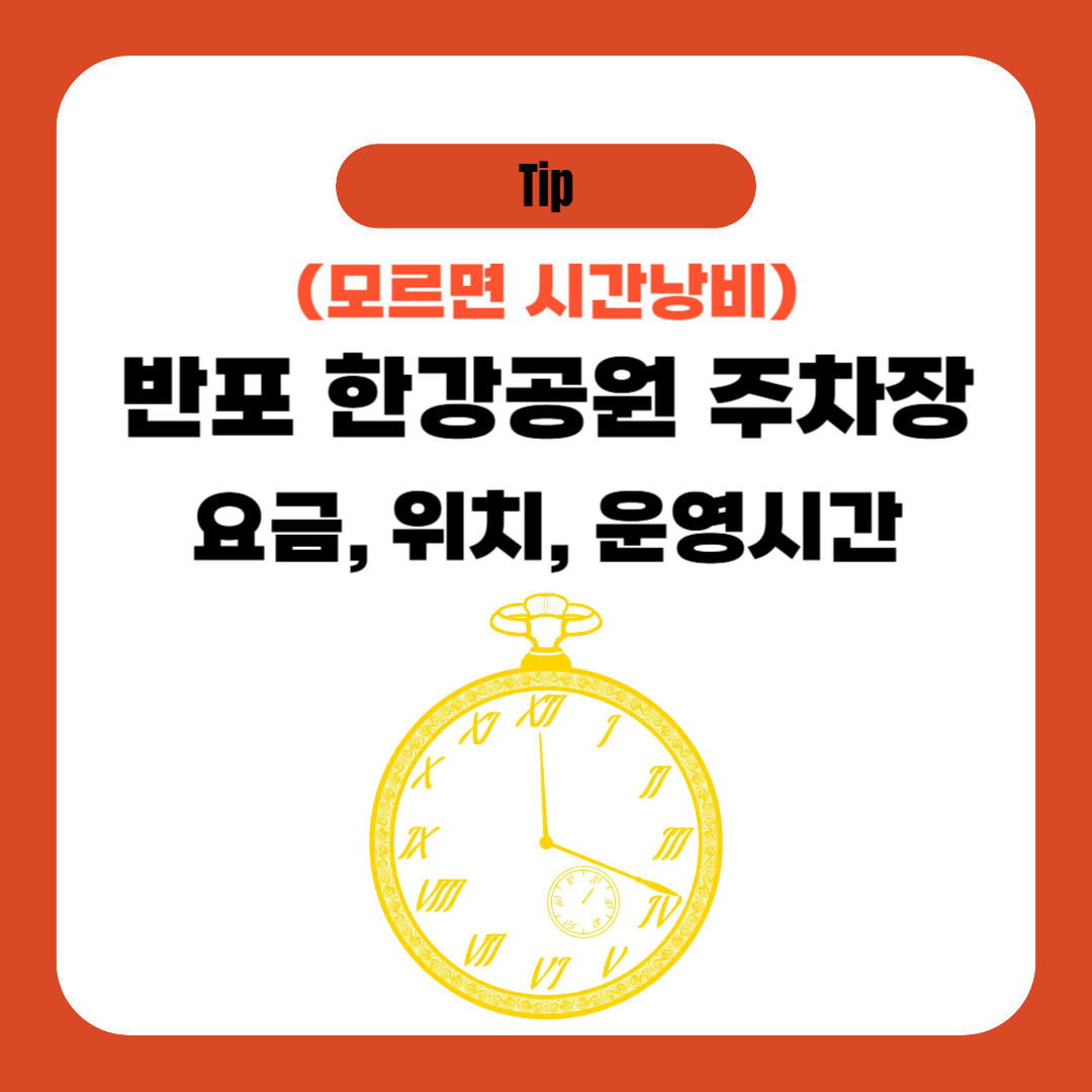 아로스 팝업