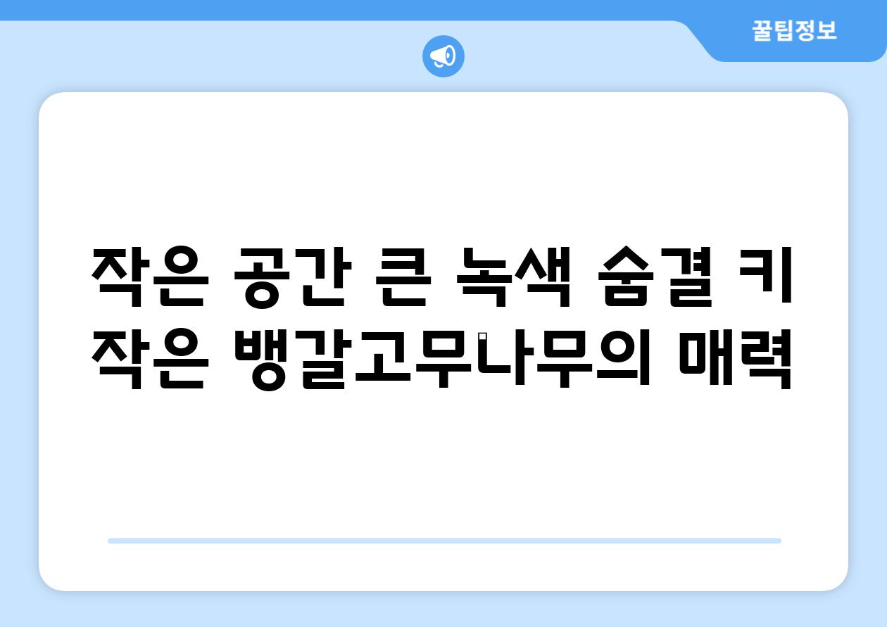 작은 공간 큰 녹색 숨결 키 작은 뱅갈고무나무의 매력