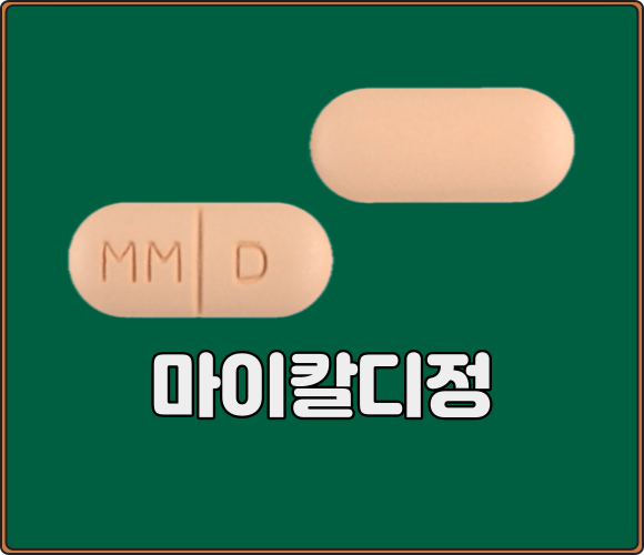 마이칼디정_모양