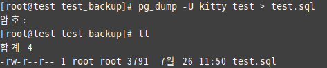 pg_dump 사용 예제_1