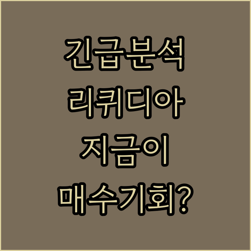 애널리스트 긴급 분석! 리퀴디아, 지