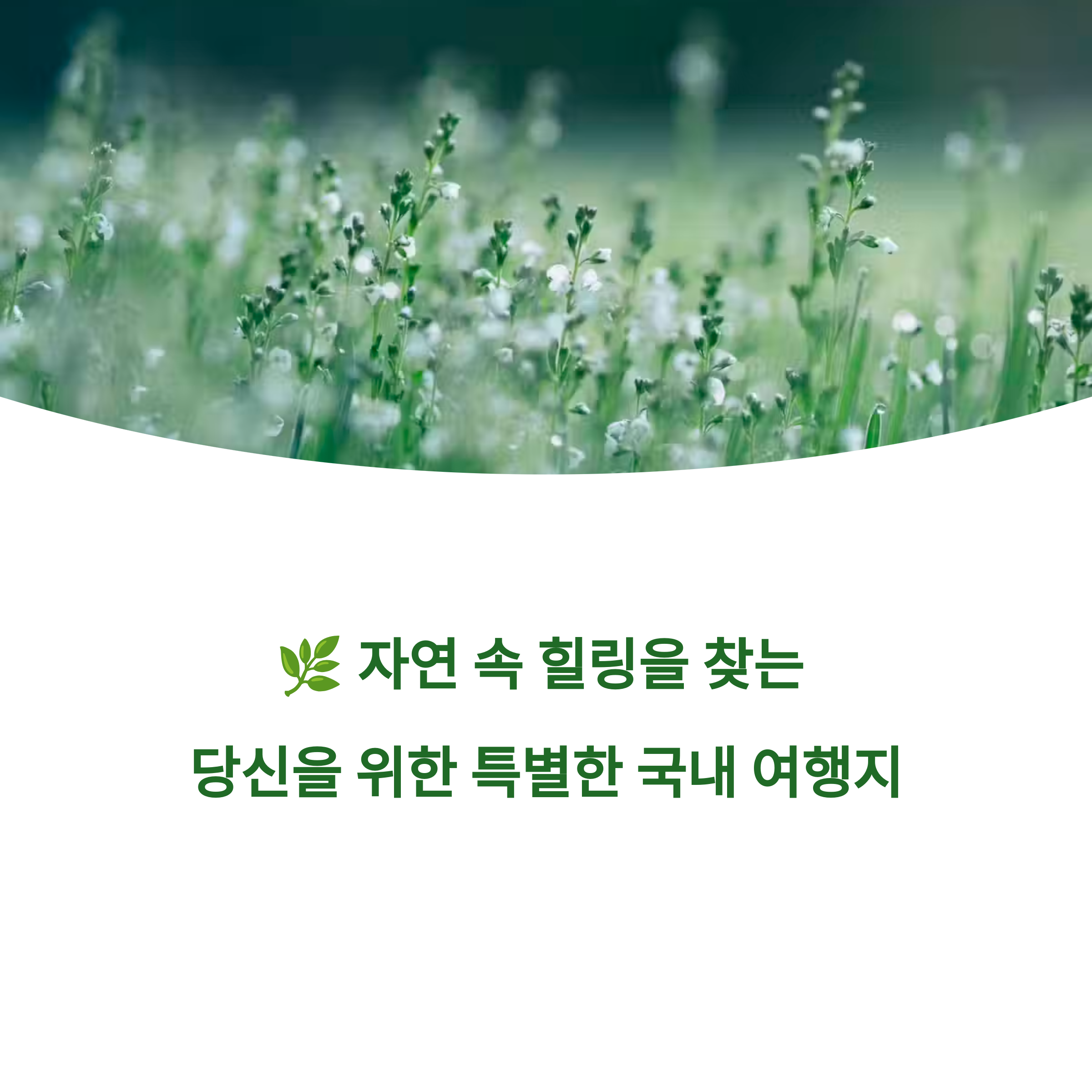 🌿 자연 속 힐링! 조용하고 한적한 국내 여행지 BEST 7